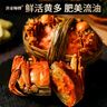 【活蟹】漁家師傅大閘蟹全母3.0-3.3兩8只去繩足重鮮活螃蟹現貨生鮮水產(chǎn)海鮮禮盒 曬單實(shí)拍圖