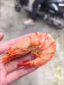 海仙津九節蝦干即食大蝦干烤蝦干對蝦干特大斑節蝦干大烤蝦福建干貨蝦 【大號款】九節蝦干250g 35-45只(凈重) 曬單實(shí)拍圖