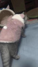阿莫爾貓咪衣服秋冬款加絨保暖衛衣銀漸層布偶可愛(ài)防掉毛狗狗棉衣加厚冬 粉色~耳朵 S（建議3-5斤 參考胸圍背長(cháng)） 曬單實(shí)拍圖
