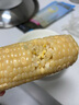 【有機】玉米 甜糯高葉酸玉米 東北非轉基因玉米棒 孕婦蔬菜禮盒 【有機葉酸玉米】 240g*10根 曬單實(shí)拍圖