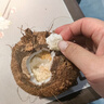 花農(nóng)氏海南椰寶牛奶椰寶椰子芽椰椰青老椰子芽椰子芯熱帶水果煲湯燉雞湯 椰寶 9個(gè) 曬單實(shí)拍圖