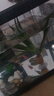 闊庭（KUOTING）魚(yú)缸懶人魚(yú)缸家用客廳辦公室水培吊籃金魚(yú)缸過(guò)濾魚(yú)缸黑色款 曬單實(shí)拍圖