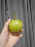 南步天津薊縣酸梨【順豐】薊州細皮老酸梨子酸甜多汁安梨煮水蒸梨水果 3斤 精選中果【單果100g+】 曬單實(shí)拍圖