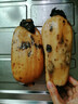 京覓湖北蓮藕 粉藕 帶泥鎖鮮 凈重3斤裝 新鮮蔬菜源頭直發(fā) 包郵 曬單實(shí)拍圖
