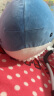 名创优品（MINISO）海洋系列鲨鱼公仔趴姿毛绒玩具娃娃睡觉室内卧室办公室生日礼物 实拍图