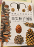世界上不可思議的果實種子圖鑒 曬單實拍圖