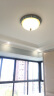 韬齐 欧式吸顶灯客厅现代简约主卧室灯美式阳台灯具 J2008-大号 直径48CM 不带灯泡 实拍图