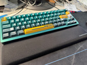 雷神（ThundeRobot）有線(xiàn)磁軸鍵盤(pán)VIC68Ultra 電競游戲鍵盤(pán)霧透鍵帽TTC萬(wàn)磁王RGB軸鋁合金可拆卸腳架車(chē)漆工藝 鸚鵡綠 曬單實(shí)拍圖