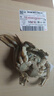 【活蟹】陽(yáng)澄聯(lián)合鮮活大閘蟹現貨公4.0-4.3兩 母3.0-3.3兩 4對8只螃蟹海鮮禮盒 曬單實(shí)拍圖
