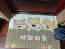艾杰普絲圈入戶(hù)門(mén)地墊大門(mén)口進(jìn)戶(hù)門(mén)廚房浴室腳墊子可裁剪防滑墊進(jìn)門(mén)地毯 曬單實(shí)拍圖