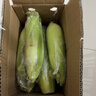 佳農寶菜山東新鮮水果玉米單根275g+鮮甜多汁4-7根凈重4.6斤源頭直發(fā) 曬單實(shí)拍圖