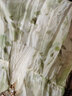 茵曼（INMAN）薄荷曼波萊賽爾法式碎花裙2024夏女裝新款綁帶V領(lǐng)寬松腰燈籠袖連 綠色 S 曬單實(shí)拍圖