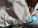 歐迪芬高腰內褲女士?jì)妊澕兠奘崭?0A抑菌桑蠶絲襠部透氣提臀三角褲4條XL 曬單實(shí)拍圖