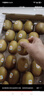 佳沛（zespri）【官方正品】新西蘭陽(yáng)光金奇異果黃心獼猴桃孕婦寶寶輔食送禮水果 巨無(wú)霸25個(gè)紅絲帶原箱【單果134-150g】 曬單實(shí)拍圖