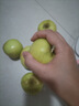 山東青蘋(píng)果新鮮水果當季現摘孕婦綠蘋(píng)果應季時(shí)令整箱脆甜酸甜 凈重1斤（65-70mm） 曬單實(shí)拍圖