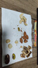 良品鋪子 7款純堅果750g 每日堅果干果禮盒核桃囤貨零食30包長(cháng)輩送禮團購 曬單實(shí)拍圖