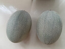 京鮮生 哈密瓜/西州蜜 4粒裝 凈重10斤起 單果2.5斤起 生鮮水果禮盒 曬單實(shí)拍圖