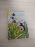 小眼睛大世界 小飛蟲(chóng) 安徽少年兒童出版社 9787570717279 黃春華 小眼睛大世界 小飛蟲(chóng) 曬單實(shí)拍圖