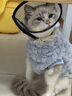 鉑吶苓狗狗衣服小型犬秋冬貓咪防掉毛衣幼貓銀漸層布偶泰迪小型幼衣服 狗狗毛絨衣【藍色】 L 曬單實(shí)拍圖
