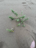 CUKTECH酷態(tài)科【3C認證可上飛機】15號電能柱SE20000毫安大容量充電寶多口100W快充適用蘋果17小米筆記本 曬單實拍圖