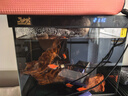 森森金麟超白玻璃魚(yú)缸一體缸自循小型懶人家用水族箱LE-300 曬單實(shí)拍圖