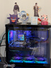 AMD銳龍R5 9600X組裝電腦RTX5060Ti/RX9060XT顯卡三角洲行動(dòng)游戲臺式電腦整機設計剪輯繪圖DIY組裝機 配置十 R5 9600X+RTX5070 12G 主機套件 曬單實(shí)拍圖