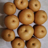 京鮮生山東煙臺萊陽(yáng)秋月梨凈重8斤 單果300g+ 生鮮水果 源頭直發(fā)包郵 曬單實(shí)拍圖