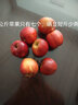 南非牛頓小蘋(píng)果進(jìn)口富士野生迷你蘋(píng)果脆甜多汁孕婦當季新鮮水果 1000g 曬單實(shí)拍圖
