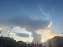 寶芝林 PO CHI LAM香港 腰椎間盤突出遠(yuǎn)紅外理療貼腰肌勞損腰酸背痛專用膏藥貼三盒 曬單實(shí)拍圖