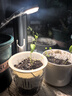 三思京東集采JC系列全光譜植物燈補光燈仿太陽(yáng)光植物生長(cháng)盆夾燈-7W 曬單實(shí)拍圖