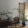 五得利面粉八星雪花麥芯小麥粉10斤  中筋多用途饅頭餅面條 曬單實(shí)拍圖
