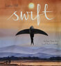 雨燕的旅程 Swift An Epic Story of a Small Birds Courage 英文原版 兒童動(dòng)物故事書(shū) 科普繪本 進(jìn)口童書(shū)5-7歲 曬單實(shí)拍圖