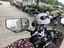 偶森電動(dòng)車(chē)手機支架2025新款防震防雨減震器摩托外賣(mài)騎手小頭盔導航架 黑白鏡座款+小頭盔/氣囊雙重減震 曬單實(shí)拍圖