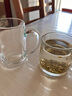 樂美雅玻璃杯家用茶杯帶把水杯帶蓋耐熱泡茶杯鋼化加厚杯喝水杯子 【兩支】班尼450ml(加杯刷*2) 曬單實(shí)拍圖