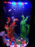 美之海魚(yú)缸客廳家用中大型歐式落地半圓柱形水族箱免換水生態(tài)金魚(yú)缸 白色 50x50x138cm 曬單實(shí)拍圖