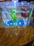 寵小帥魚(yú)缸造景玻璃珠斗魚(yú)缸底沙金魚(yú)裝飾水晶沙布景五彩石熱帶魚(yú)水族砂 【10MM】珍珠（約100顆） 曬單實(shí)拍圖
