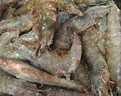 繽鮮 蝦 青島大蝦基圍蝦鮮活青蝦白蝦海蝦對蝦冰蝦凍蝦生鮮 蝦類(lèi)批發(fā) 鹽凍大蝦 3.6斤(凈重)  17-21cm【單只凍 特大蝦王】 曬單實(shí)拍圖