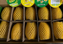 佳沛（zespri）新西蘭陽光金果10個裝獼猴桃單果重約101-124g水果獼猴桃 曬單實拍圖