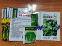 涵宜盆栽小番茄種子四季種陽臺(tái)室內(nèi)盆栽矮生櫻桃番茄種子蔬菜水果種子 盆栽黃番茄種子【新種】 5包約500粒+贈(zèng) 曬單實(shí)拍圖