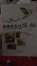 植物的靈性探秘 曬單實拍圖