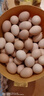 農家鮮雞蛋40-45g散裝農家現撿現發(fā)營(yíng)養健康早餐新鮮雞蛋 農家土雞蛋40克*50枚 曬單實(shí)拍圖