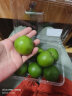 京鲜生 塔西提无籽柠檬 青柠檬  500g装 单果40-60g 新鲜水果 实拍图