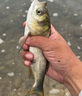 達億瓦（DAIWA）25新款岸拋鐵板竿遠投路亞竿海鱸翹嘴釣桿長(cháng)竿十大知名品牌 2.82m 93ML（2.82m2節中軟調直柄 曬單實(shí)拍圖