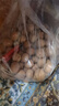 樓蘭蜜語(yǔ)高品質(zhì)阿克蘇薄皮核桃5斤/箱原味節日送禮盒新疆特產(chǎn)每日堅果零食 曬單實(shí)拍圖