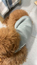 寵德多狗狗衣服貓衣服寵物衣服貓咪衣服小型犬幼犬毛衣保暖冬季 灰色 M（建議體重5-8斤） 曬單實(shí)拍圖
