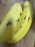 都樂(lè ) 超甜蕉700g 曬單實(shí)拍圖