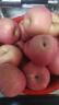京鮮生 煙臺紅富士蘋(píng)果 凈重10斤 單果220g以上 水果禮盒 曬單實(shí)拍圖