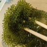 然緒海葡萄 鹽漬海葡萄新鮮即食長(cháng)壽菜海藻菜海菜壽司食用植物魚(yú)子醬 海葡萄 曬單實(shí)拍圖