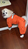 超可耐狗衣服冬季四腳棉衣加厚保暖防風(fēng)耐寒狗狗衣服柴犬2025多功能棉衣 橙色 XL碼（胸圍48背長(cháng)38cm） 曬單實(shí)拍圖