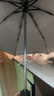 COOLIBAR美國Coolibar防紫外線折疊傘 遮陽傘 道具傘 防曬傘 晴雨傘 粉色雙層 曬單實拍圖